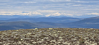 Marimor_20250531_683ae2ea36257.jpg