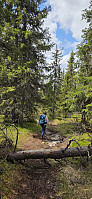 Marimor_20250531_683ae2eb26c9d.jpg