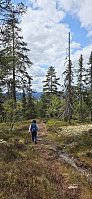 Marimor_20250531_683ae2eb99067.jpg