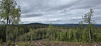 Marimor_20250609_6846c8061ad63.jpg