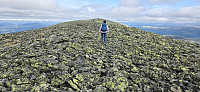Marimor_20250620_68553bac4d135.jpg