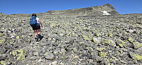 Marimor_20250712_68724ea525a34.jpg