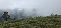 Marimor_20250725_68837a41ba381.jpg