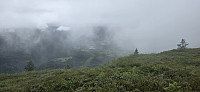 Marimor_20250725_68837a422a93c.jpg