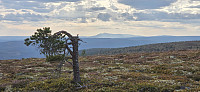 Marimor_20250814_689e17ba13a40.jpg
