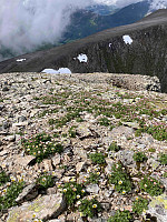 OdinB_20210709_60e840e5b85f2.jpg