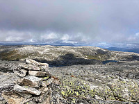 OdinB_20210904_6133ac78dc568.jpg