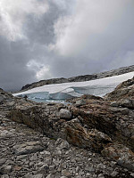 OdinB_20210904_6133ac79785d8.jpg