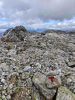 OdinB_20210904_6133ac7a01a4a.jpg