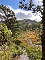 OdinB_20210925_614f1c4946d1a.jpg