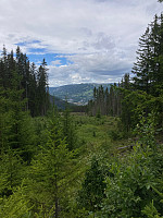 OdinB_20220713_62cec25267201.jpg