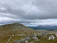 OdinB_20220717_62d4232473733.jpg
