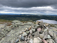 OdinB_20220717_62d423250e0be.jpg