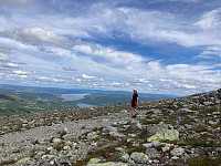OdinB_20220722_62dabf410bfe5.jpg