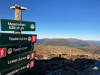 OdinB_20221119_6378d62253fd0.jpg