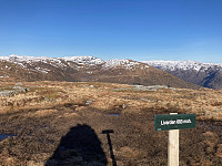 OdinB_20230420_64416ca39fdea.jpg