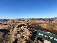 OdinB_20230420_64416ca4340af.jpg