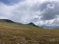 OdinB_20230721_64ba89cfedeec.jpg