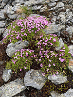 OdinB_20230721_64ba89d06ccc2.jpg