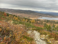 OdinB_20230929_6516dfff8a325.jpg