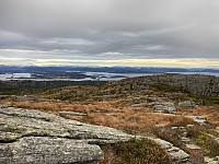 OdinB_20231118_6558c1b8c47f9.jpg