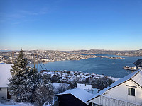 OdinB_20231223_6586d7a19b834.jpg