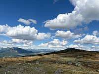 OdinB_20240601_665b1440cf96f.jpg