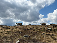 OdinB_20240601_665b14437384c.jpg