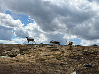 OdinB_20240601_665b1443f3900.jpg