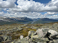 OdinB_20240601_665b144482bb6.jpg