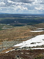 OdinB_20240601_665b1446cd92d.jpg