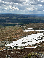 OdinB_20240601_665b14475f532.jpg