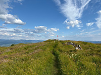OdinB_20240627_667d9ac4358a5.jpg