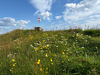 OdinB_20240627_667d9ac4c8a7c.jpg