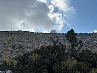OdinB_20240705_6687f72a6b297.jpg