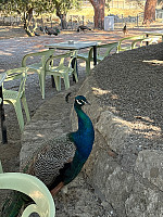 OdinB_20240706_6688eefe67d99.jpg