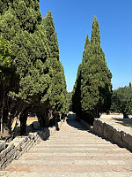 OdinB_20240706_6688ef01d910b.jpg