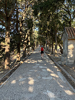 OdinB_20240706_6688ef037f553.jpg