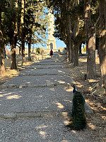 OdinB_20240706_6688ef04afff9.jpg