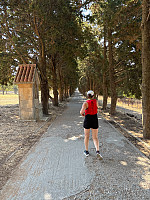 OdinB_20240706_6688ef08220a0.jpg