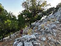 OdinB_20240708_668b8ed777f02.jpg