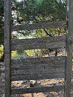 OdinB_20240708_668b8ed9289b6.jpg
