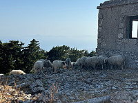 OdinB_20240708_668b8ede6e3eb.jpg