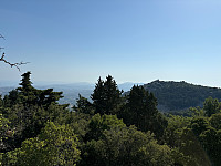OdinB_20240708_668b8ee266b38.jpg