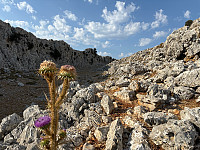 OdinB_20240710_668e292b3974a.jpg