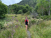 OdinB_20240714_6693ae2a434a4.jpg