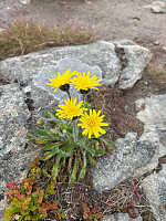 OdinB_20240716_6696942031333.jpg