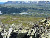 OdinB_20240718_669955d70effd.jpg