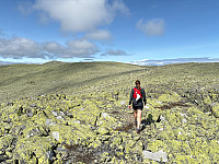 OdinB_20240718_669955da14254.jpg