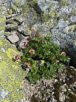 OdinB_20240718_669955dbc45e3.jpg